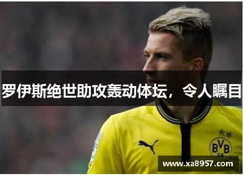 罗伊斯绝世助攻轰动体坛，令人瞩目